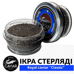 Sterlet caviar Royal Caviar