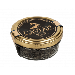 Beluga caviar 50 gr Aquatir