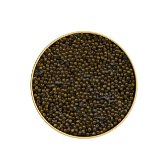Amur sturgeon caviar 500 g Lemberg Amur Royal Caviar